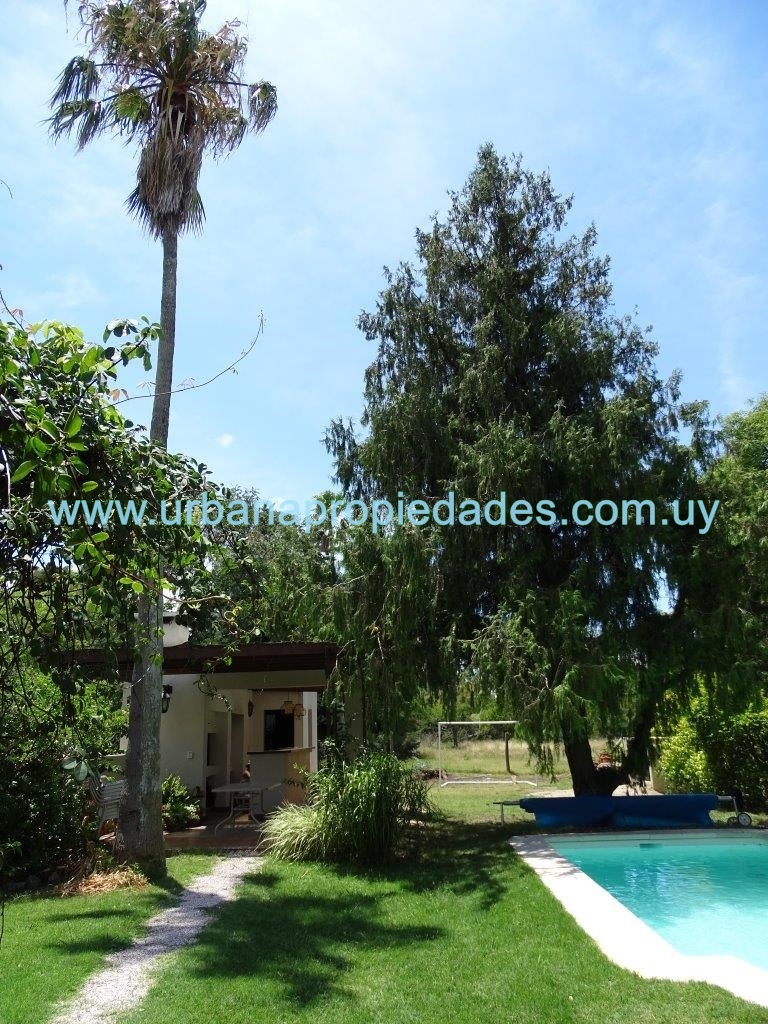  VENTA 