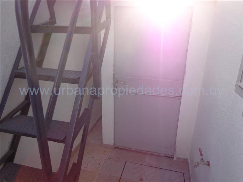 Apto 1 Dormitorio