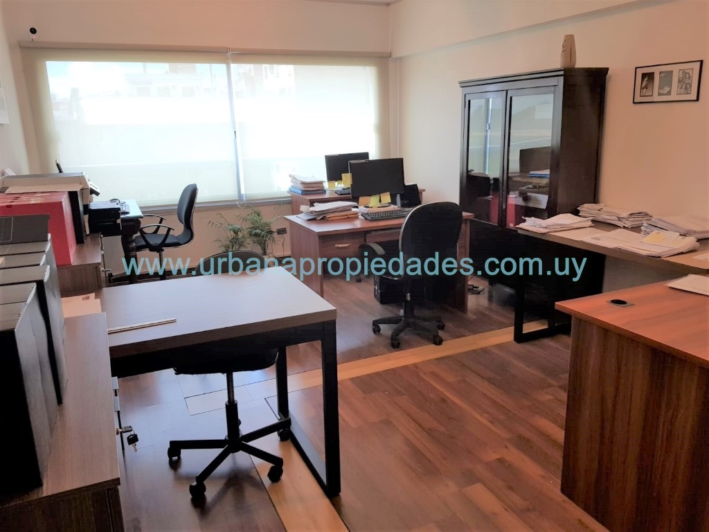 Oficina Torre Profesionales 