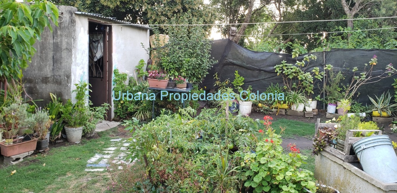 Casa 2 Dormitorios