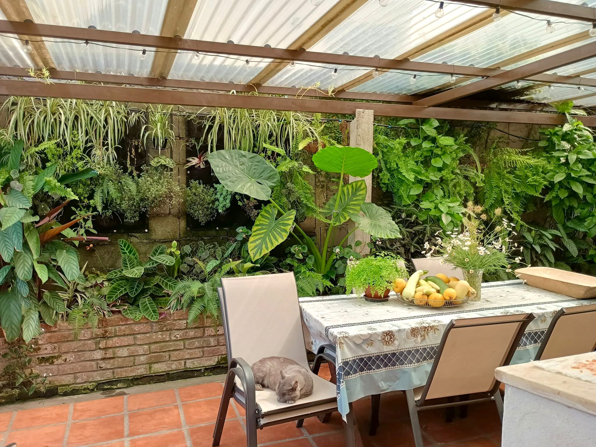 Casa de 3 Dormitorios 