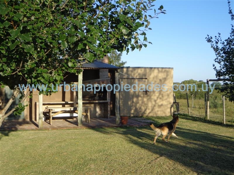 Chacra en Venta 