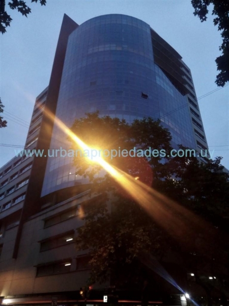Oficina Torre Profesionales 