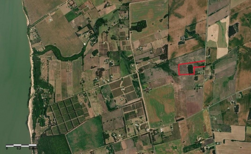 Campo 5.5 Has  El Caño Colonia