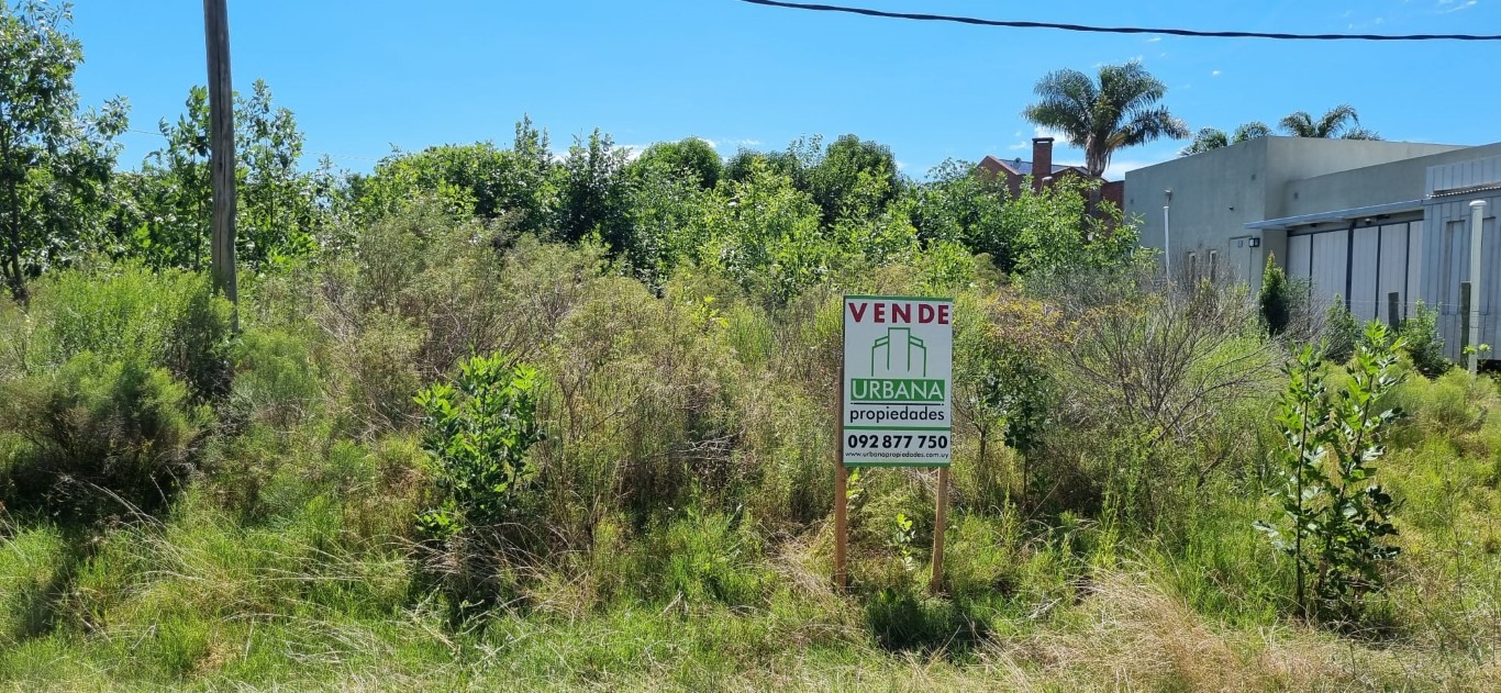 Terreno 500 Mts2