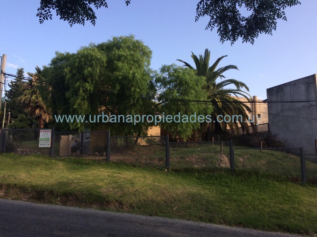 Casa + Apto 