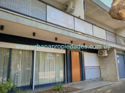 Casa + Apartamento Gral Flores