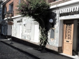 Casa Barrio Historico